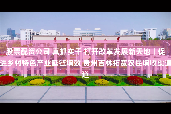 股票配资公司 真抓实干 打开改革发展新天地丨促进乡村特色产业延链增效 贵州吉林拓宽农民增收渠道
