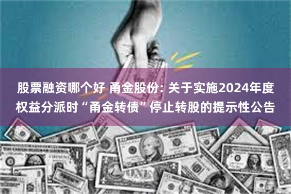 股票融资哪个好 甬金股份: 关于实施2024年度权益分派时“甬金转债”停止转股的提示性公告