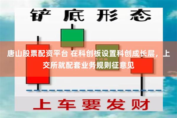 唐山股票配资平台 在科创板设置科创成长层，上交所就配套业务规则征意见