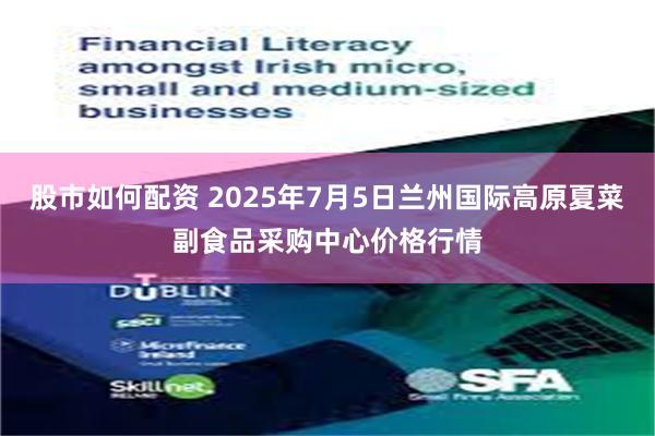 股市如何配资 2025年7月5日兰州国际高原夏菜副食品采购中心价格行情