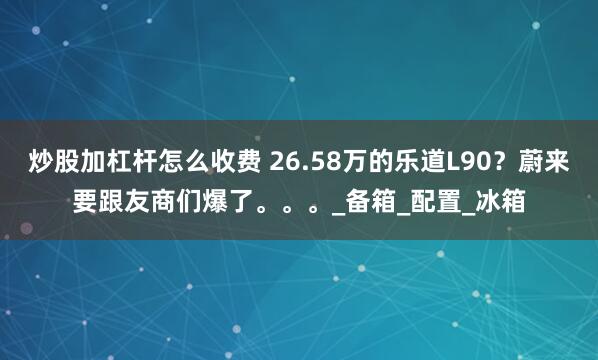 炒股加杠杆怎么收费 26.58万的乐道L90？蔚来要跟友商们爆了。。。_备箱_配置_冰箱