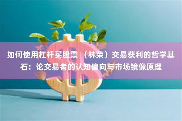 如何使用杠杆买股票 （林荣）交易获利的哲学基石：论交易者的认知偏向与市场镜像原理